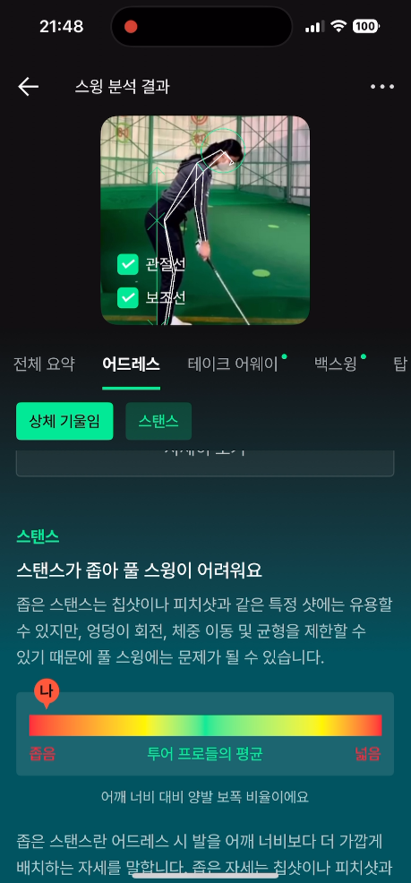 스윙 분석 (2)